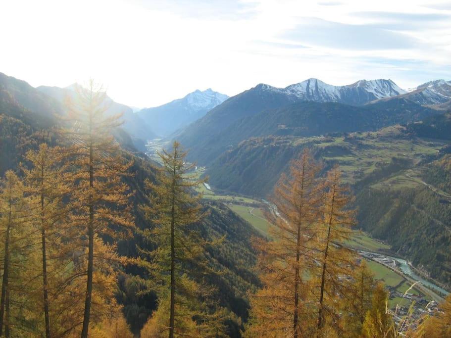 Siegi's Ferienhütte