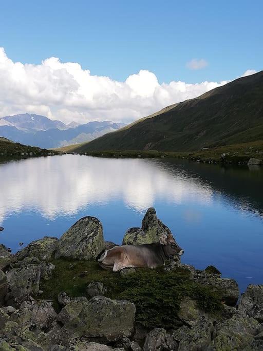 Siegi's Ferienhütte