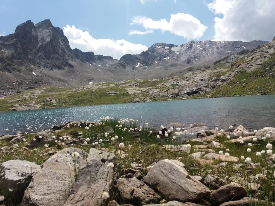 Siegi's Ferienhütte
