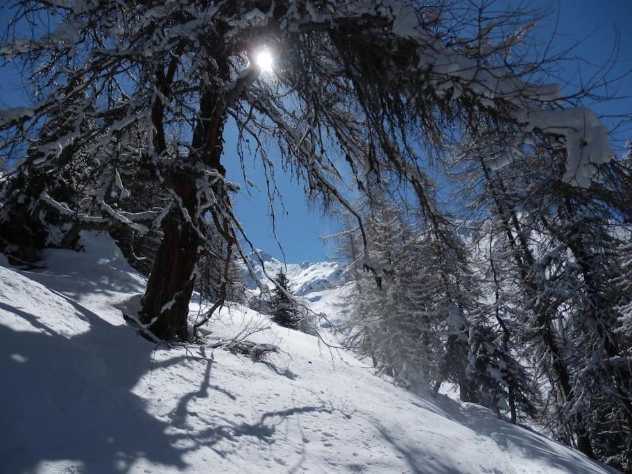 Siegi's Ferienhütte