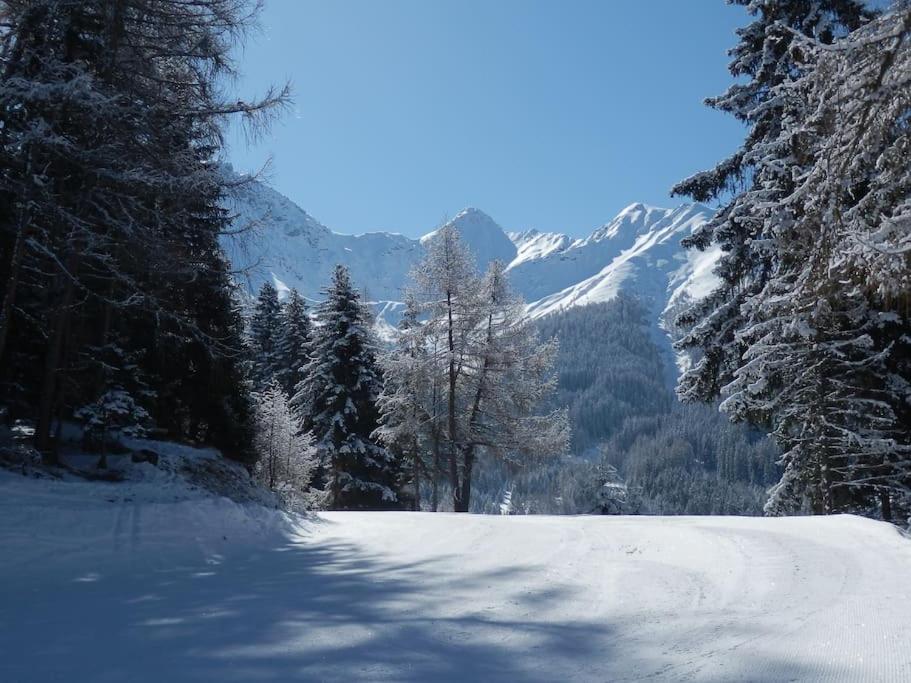 Siegi's Ferienhütte