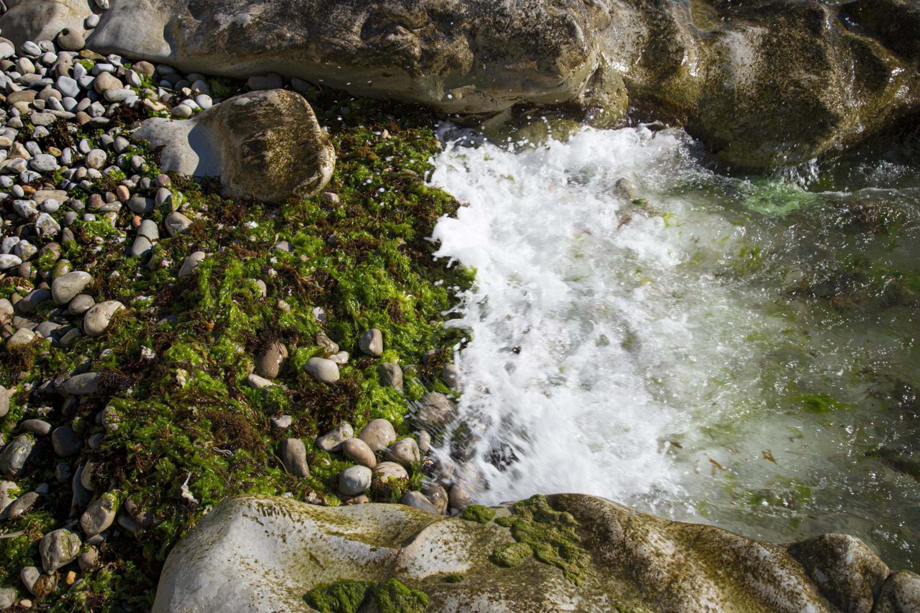 Photo 40