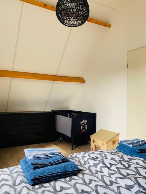 HÜBSCHES FERIENHAUS IN OUDDORP - fußläufig zum Strand und Zentrum