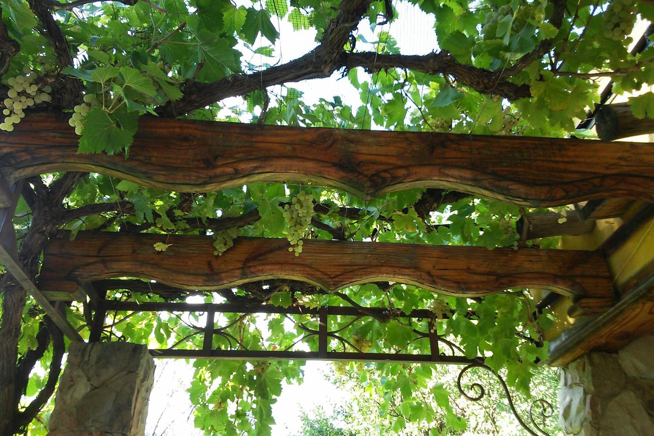 Finca La Encantada