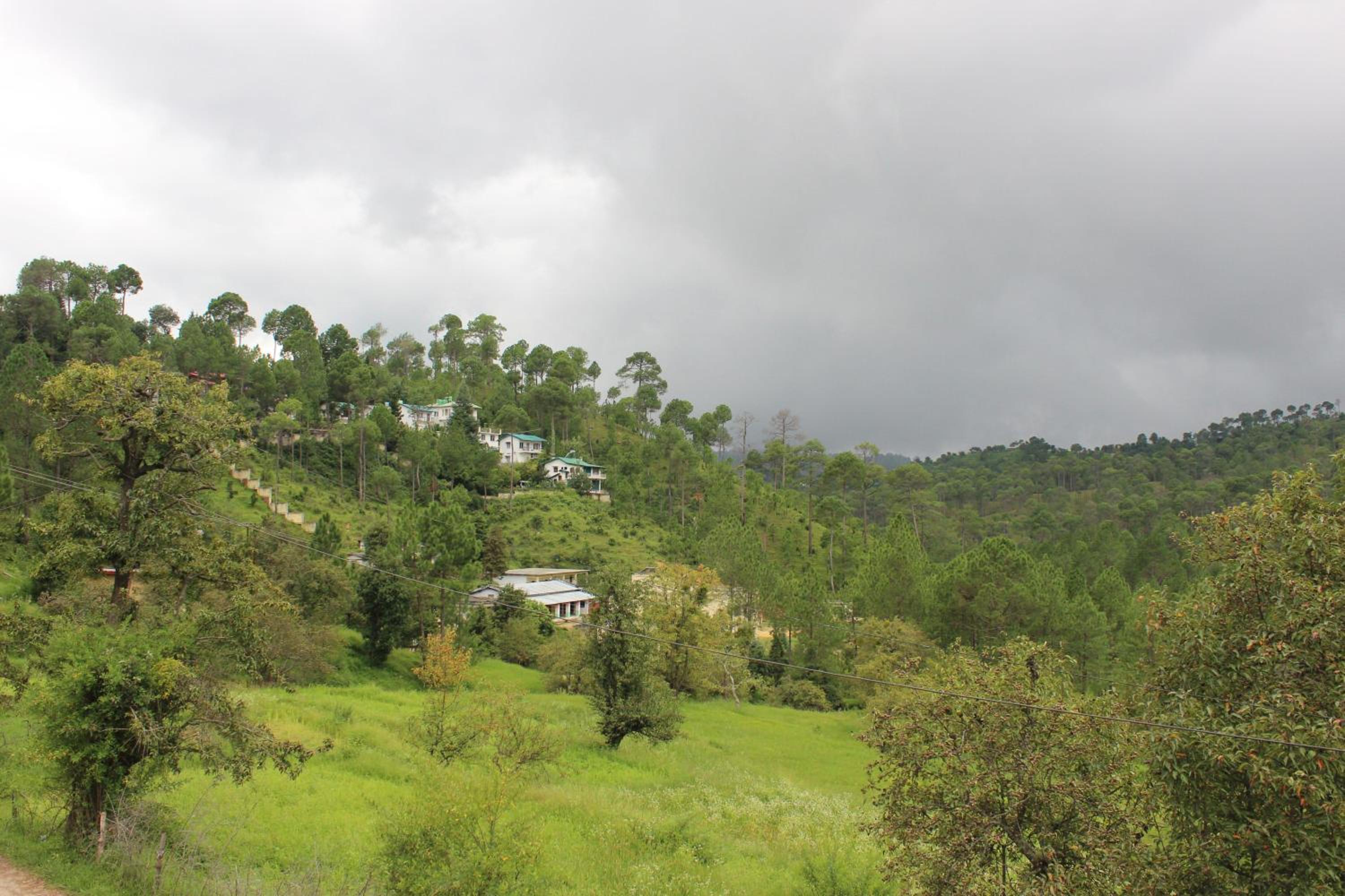 Winter Woods Cottages - 3-bedroom HomeStay view 3