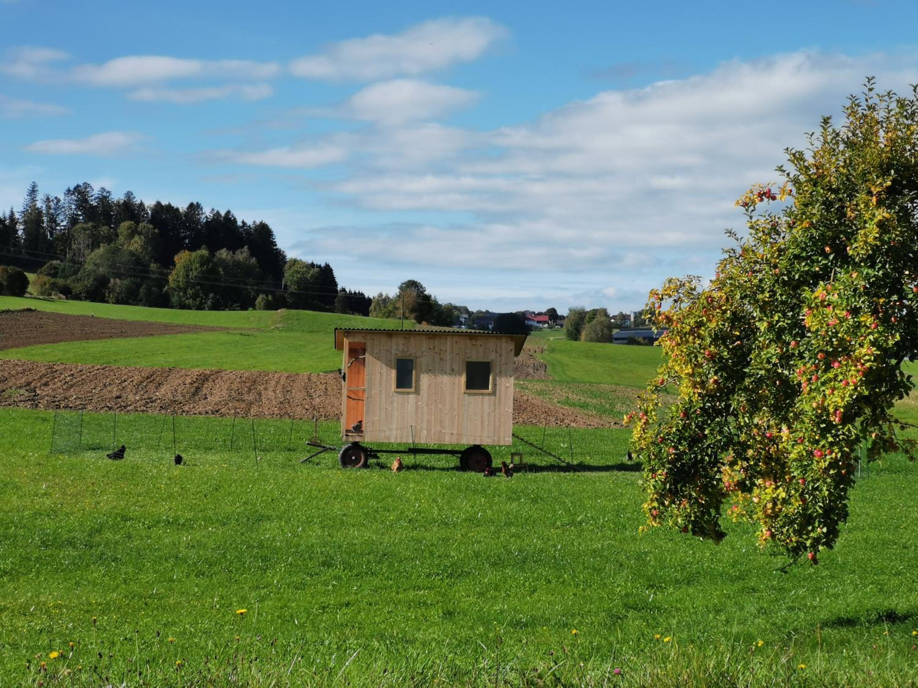 Ferdlhof Ferienwohnung