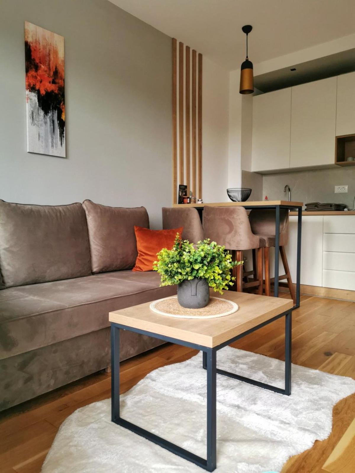 Adriatic Apartman Zlatibor Titova Vila view 3