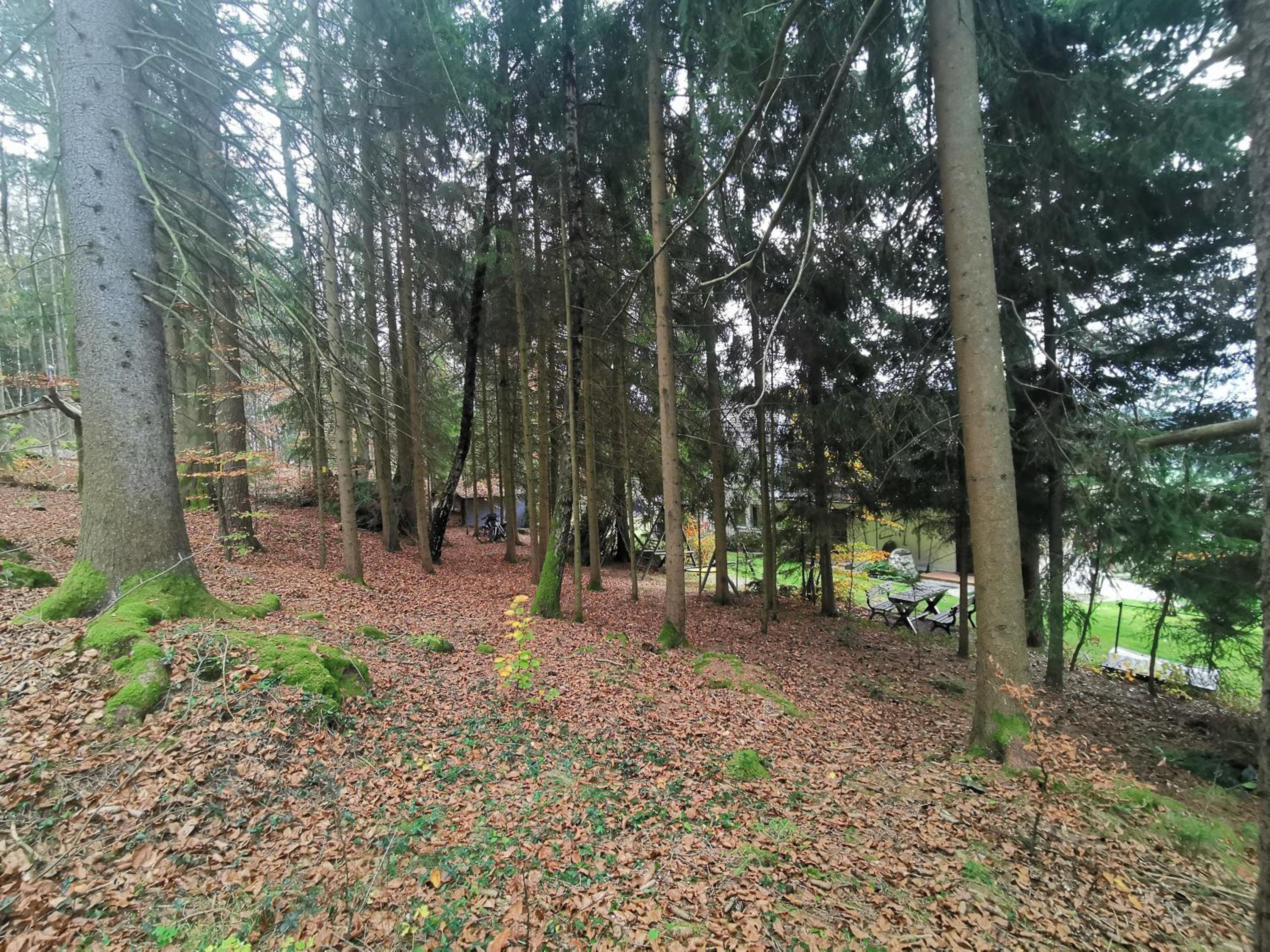 Photo 46