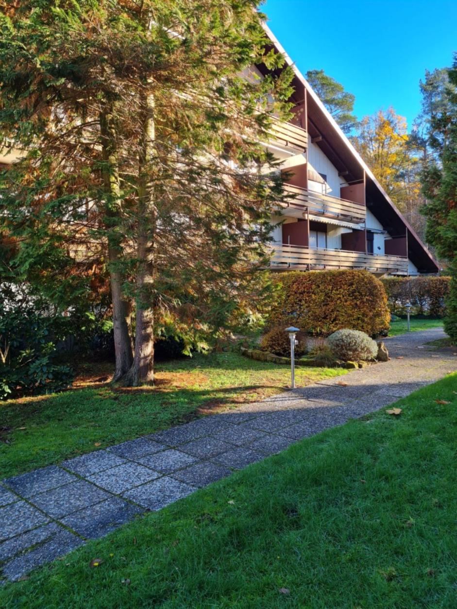 Wald und Felsen - Apartment - Property Image 4