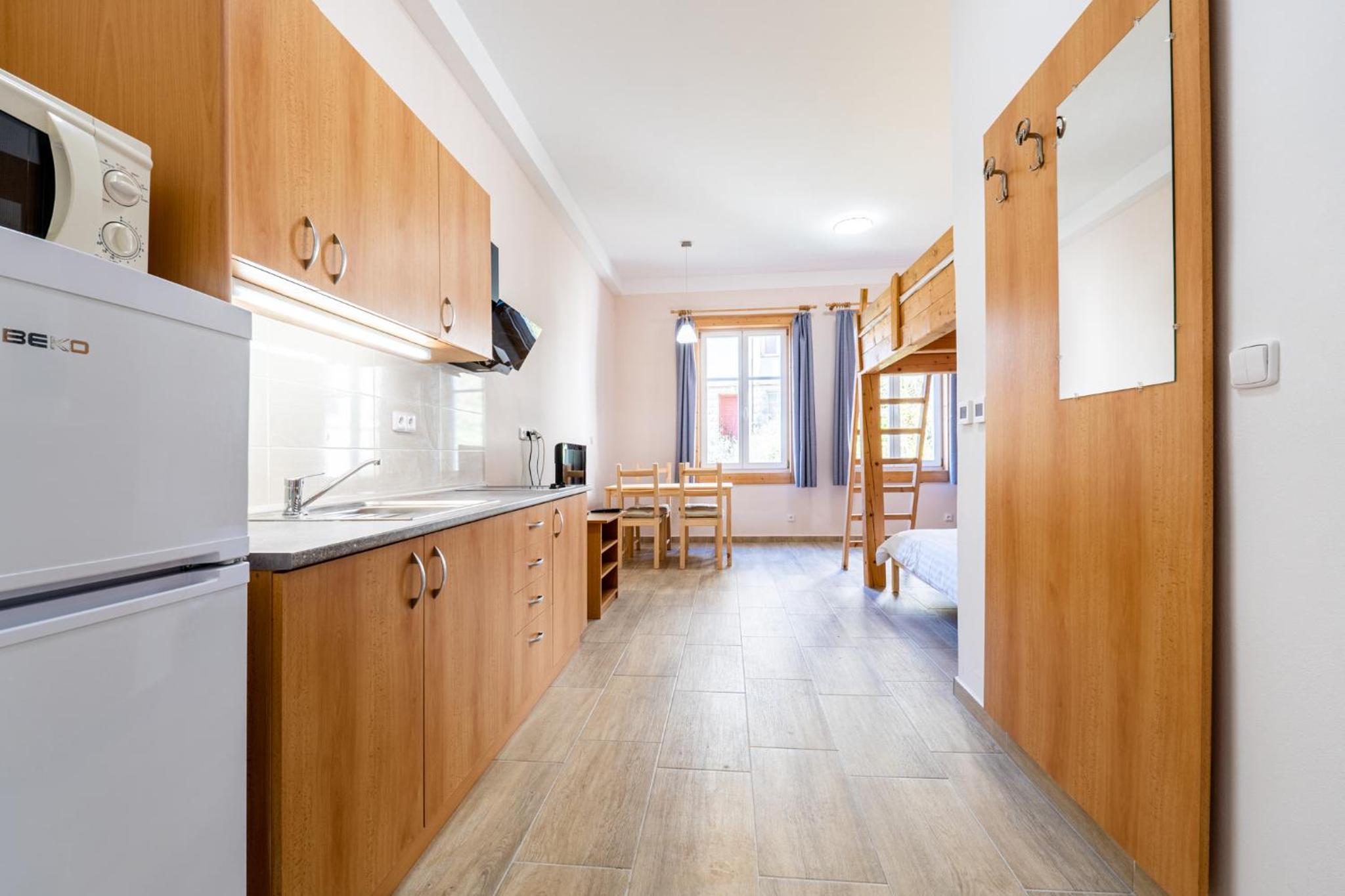 Apartmány Pod Kolonádou view 5