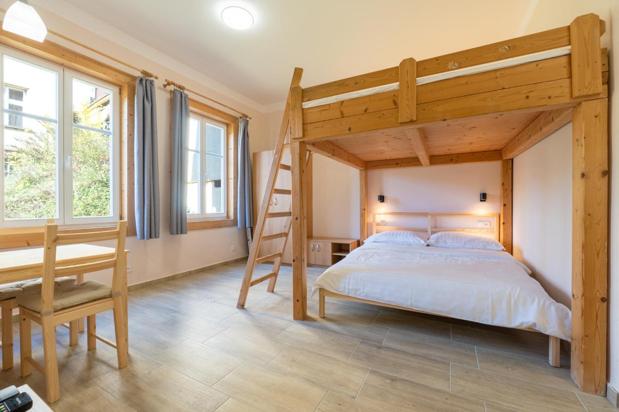 Apartmány Pod Kolonádou view 4
