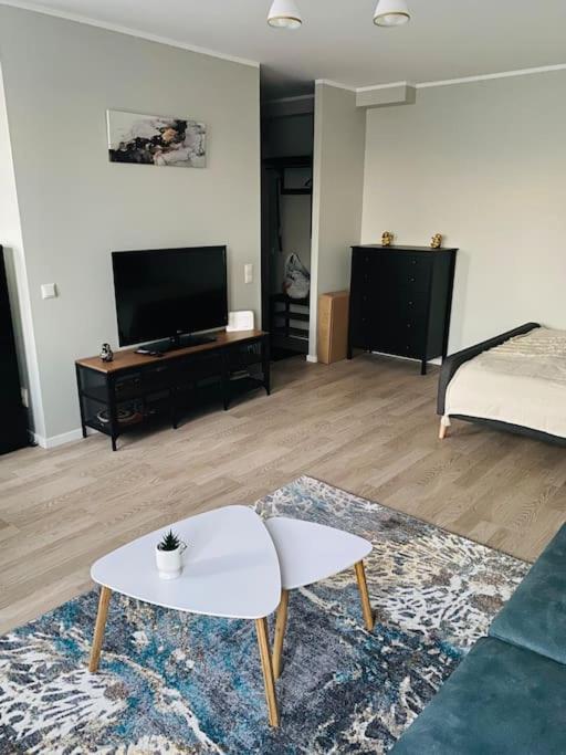 Modern studio in Siena Tirgus view 3