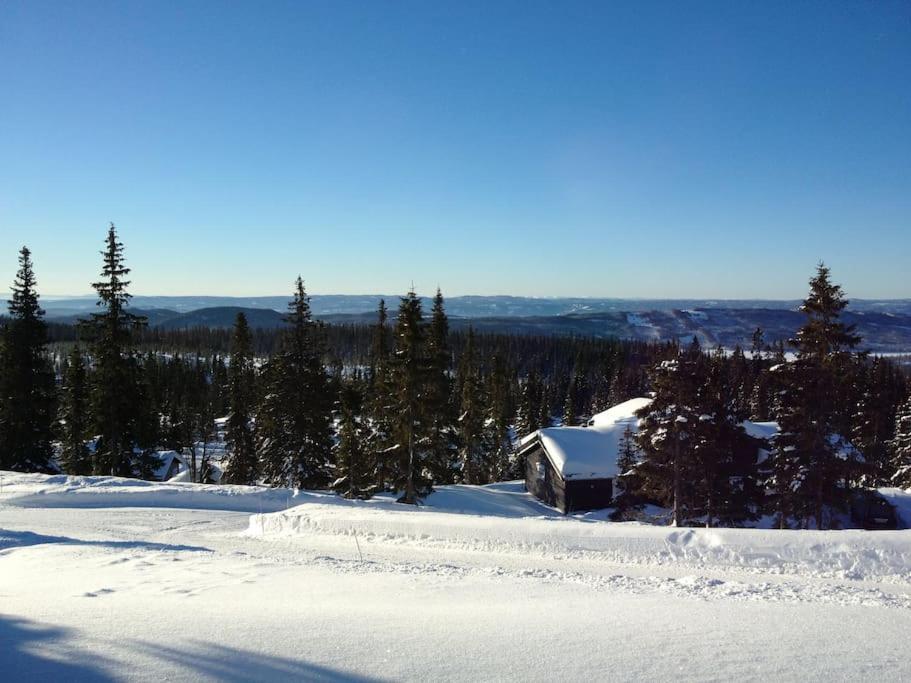 Stor familiehytte på Småsætra, Sjusjøen view 5