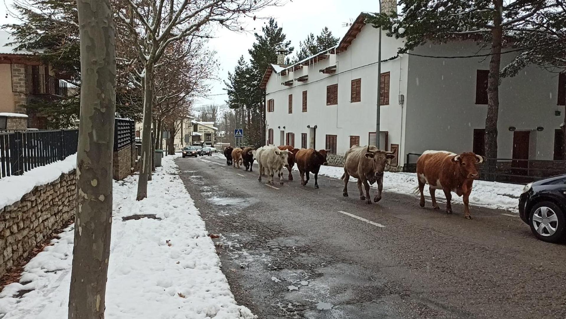 Apartamento LA MONTESA