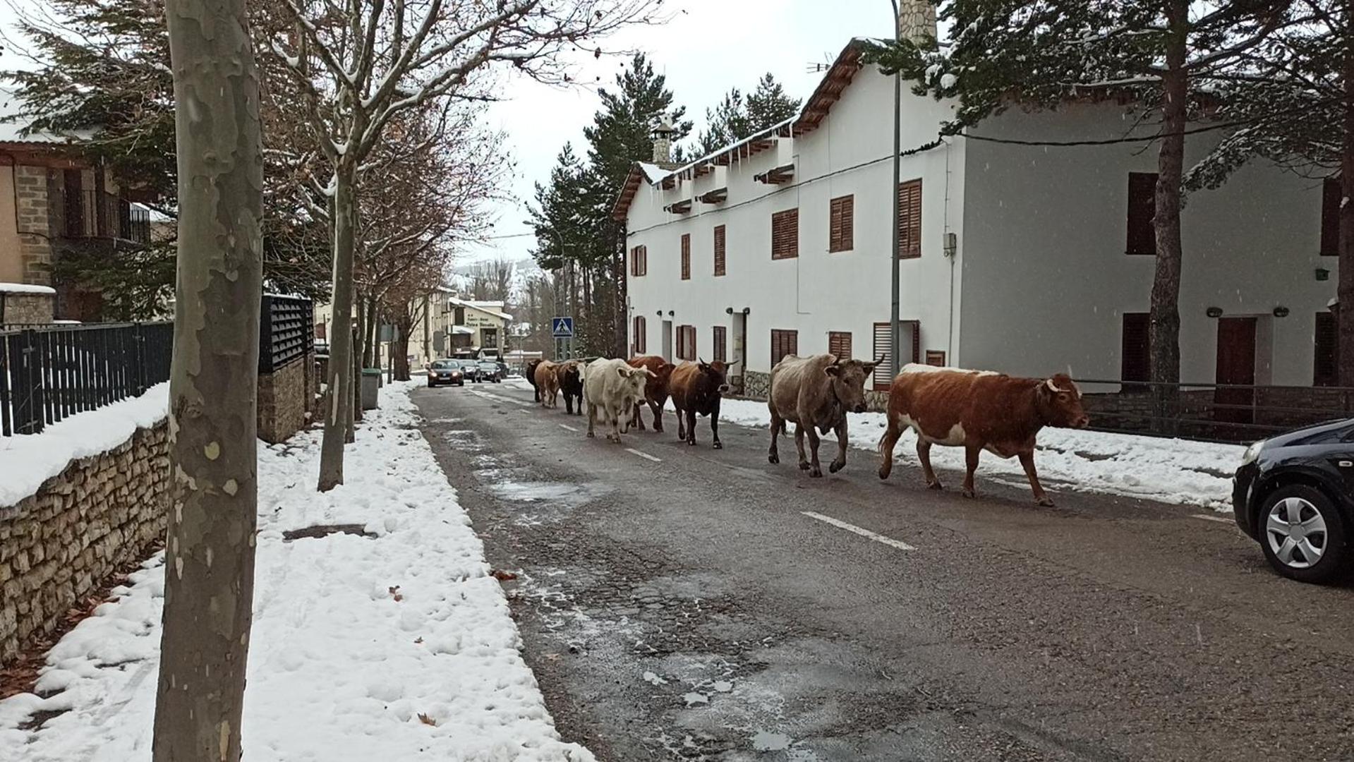 Apartamento LA MONTESA