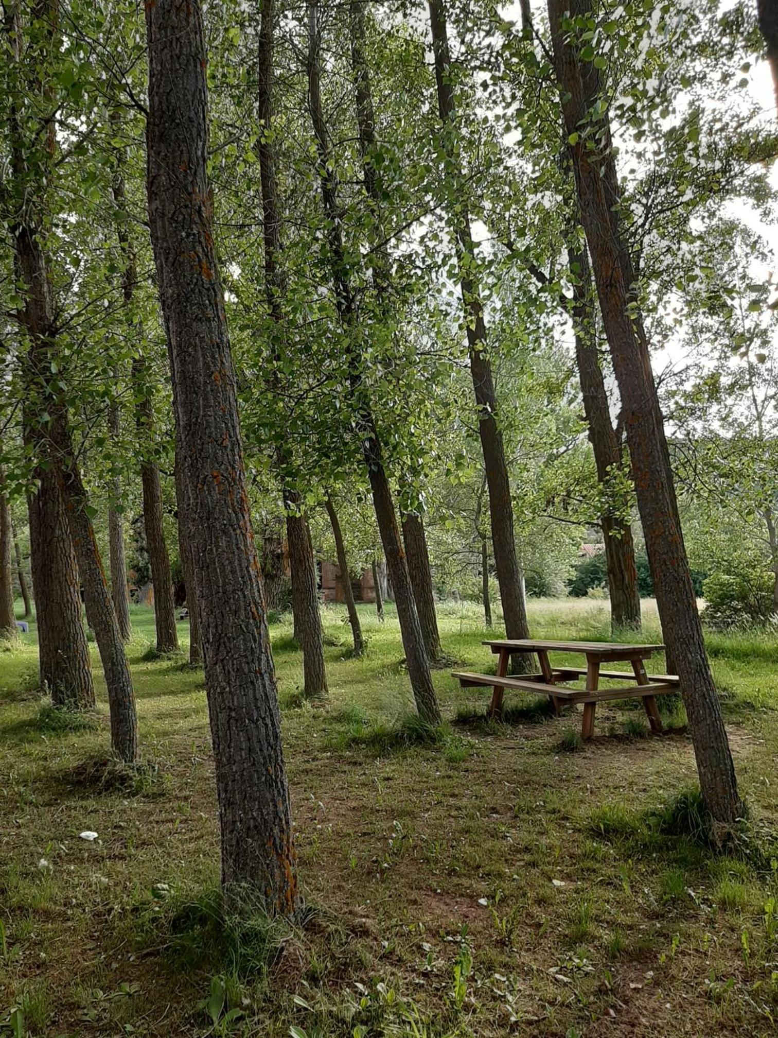 Apartamento LA MONTESA