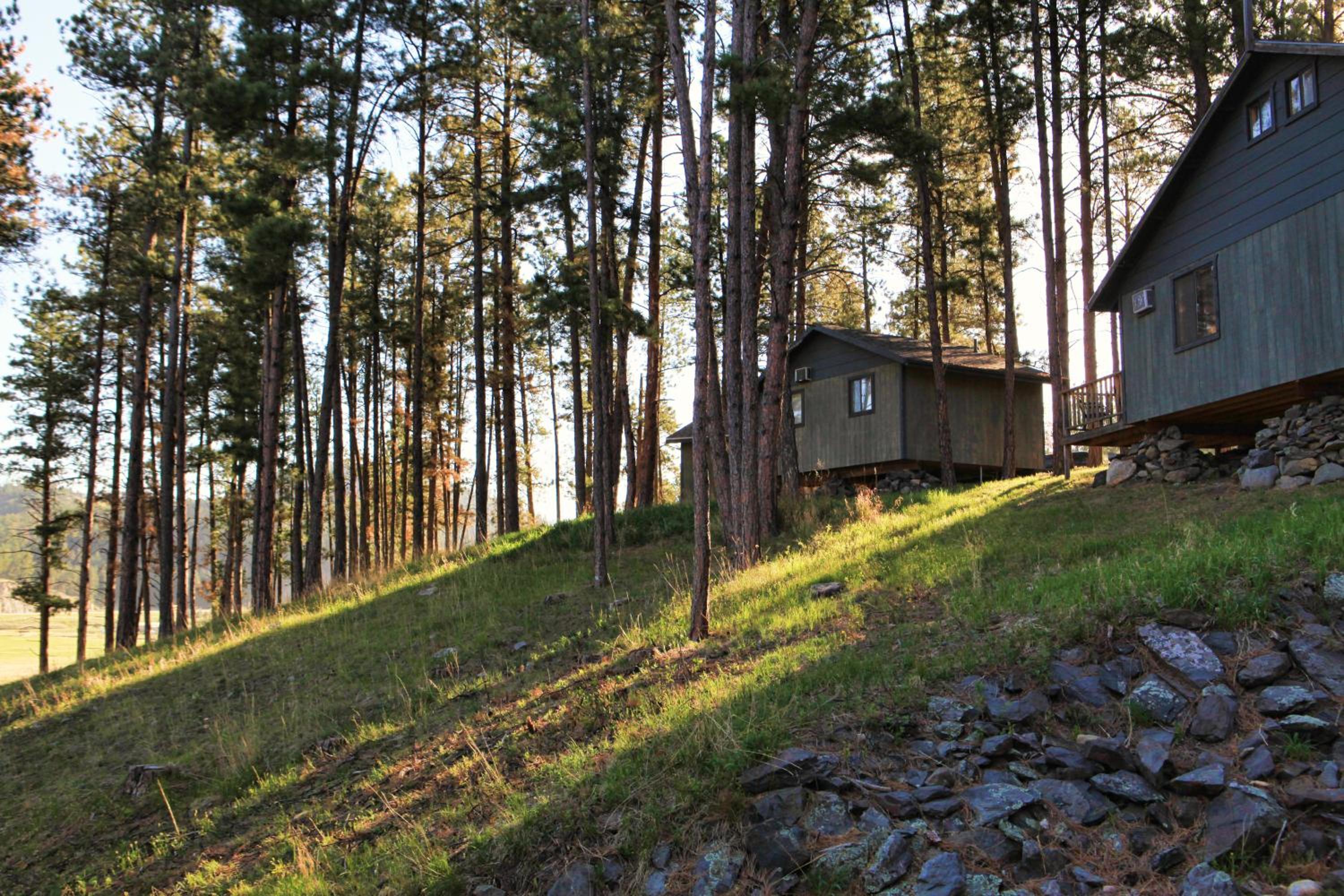 Mountain View Lodge & Cabins