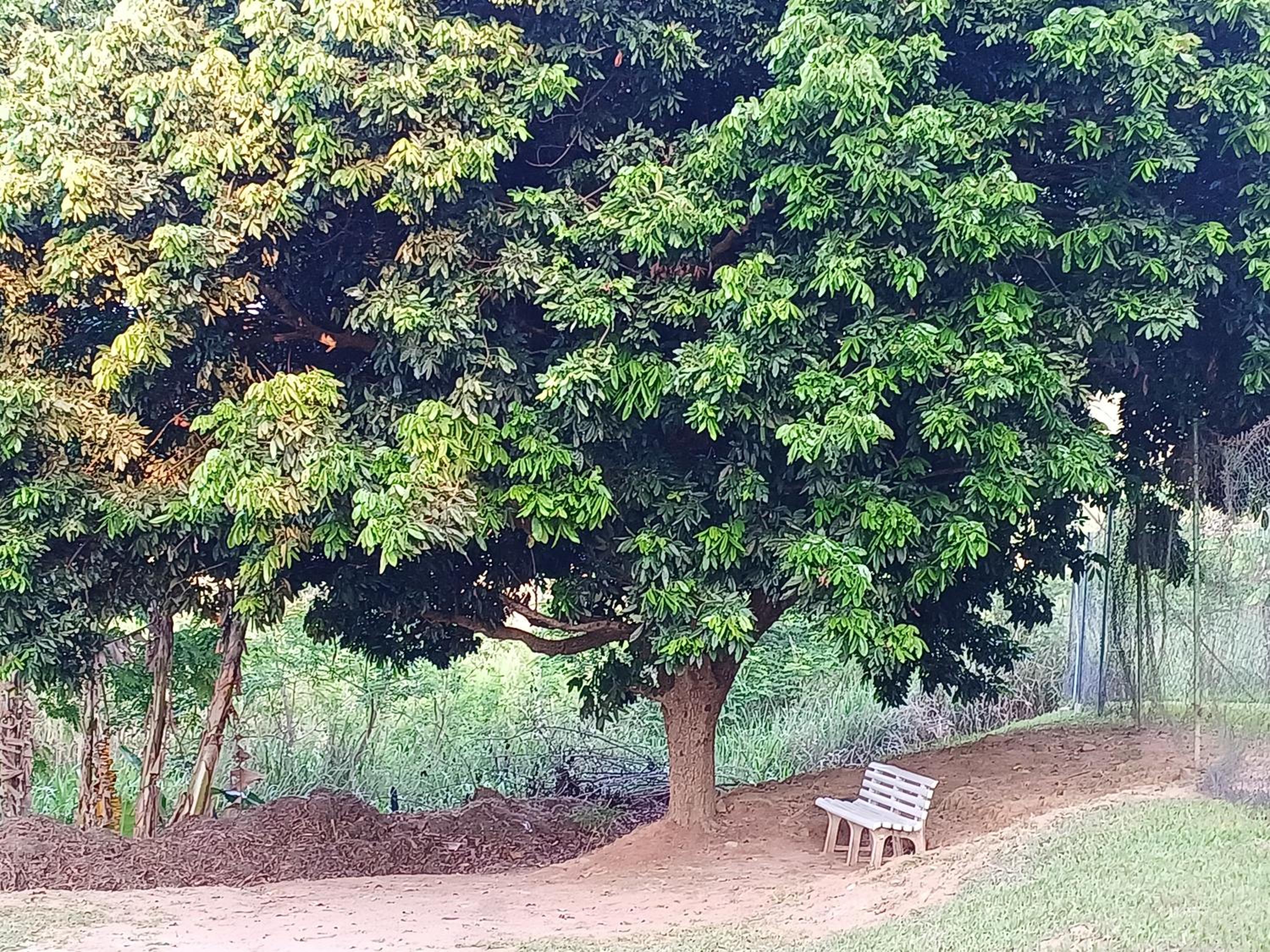 Pousada das Estrelas