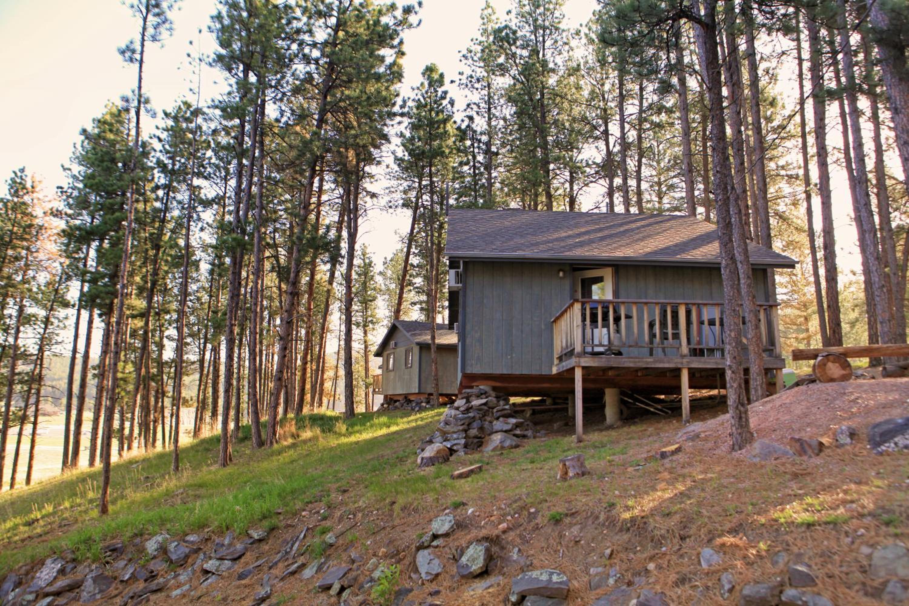 Mountain View Lodge & Cabins