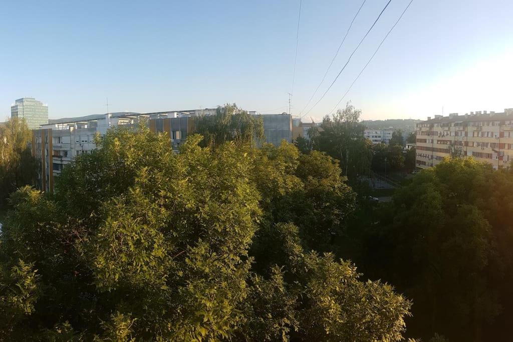 Comfortable apartment near the City Center