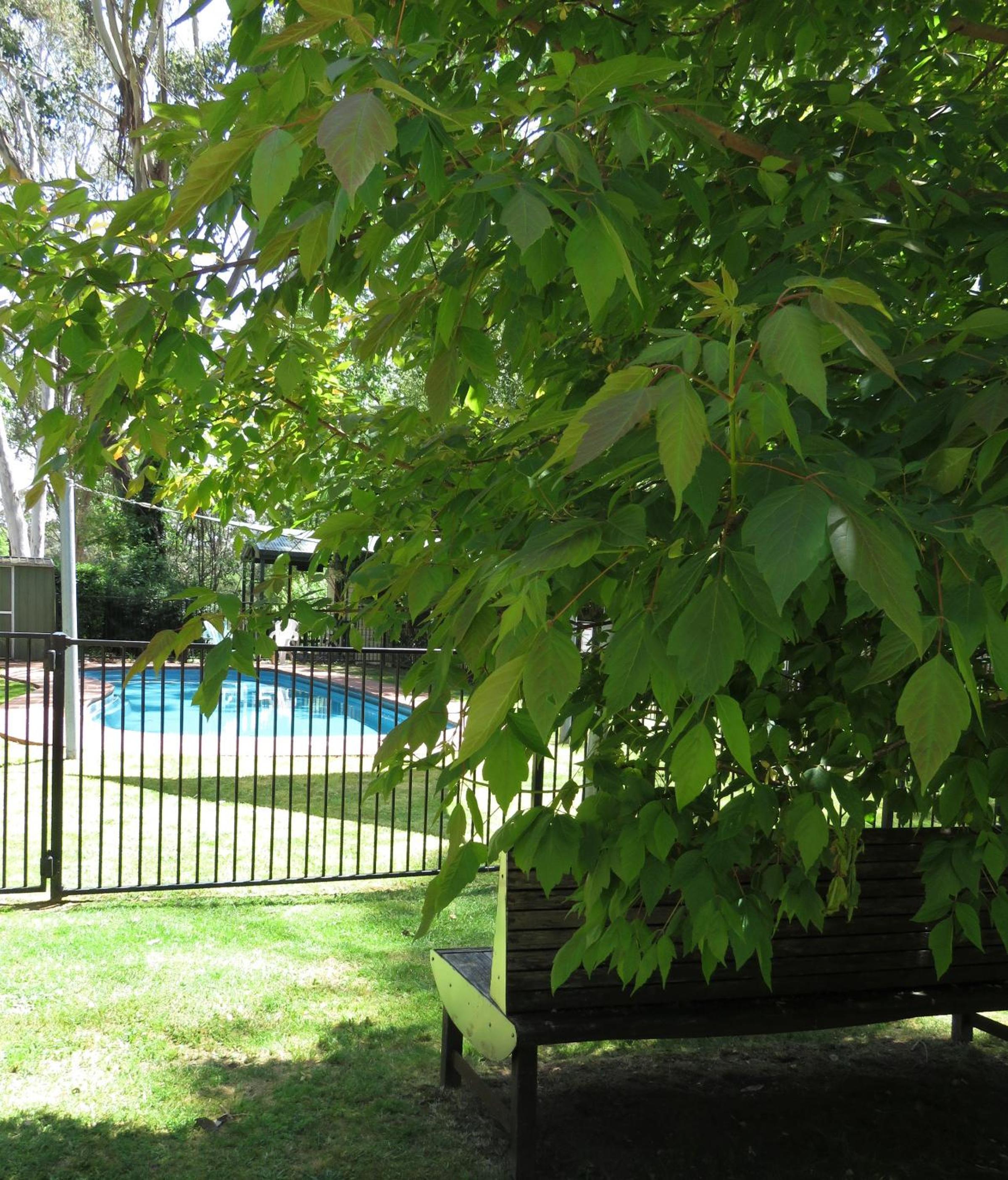 Beechworth Holiday Park