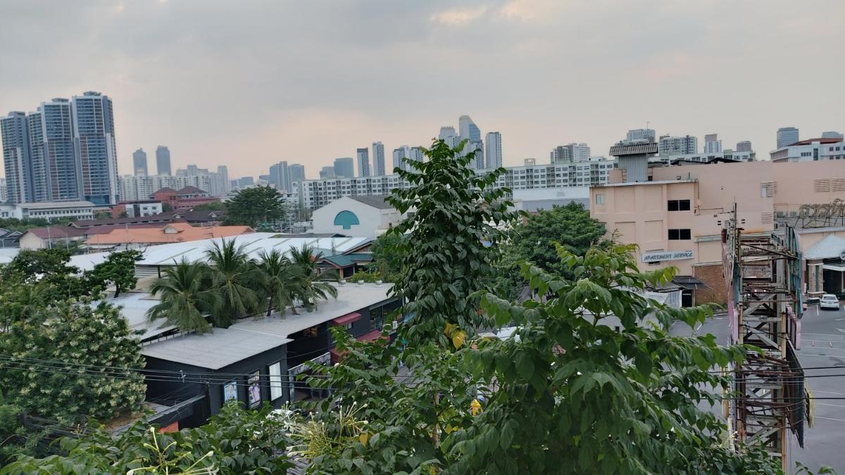 rooftop