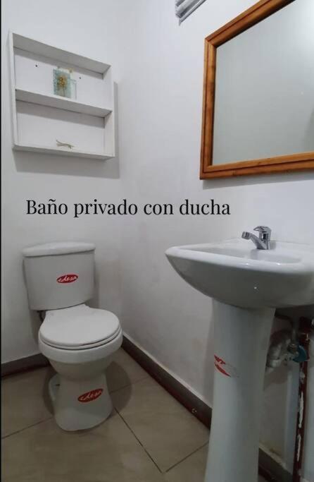 Departamento nuevo sector jipijapa por la plaza de toros Quito,planta baja, con patio, totalmente independiente, para 2 personas view 5