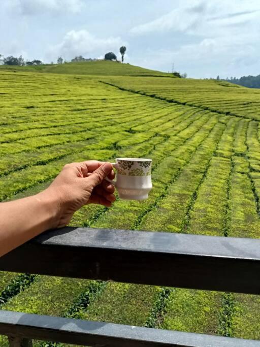 Tea Estate view stay view 2