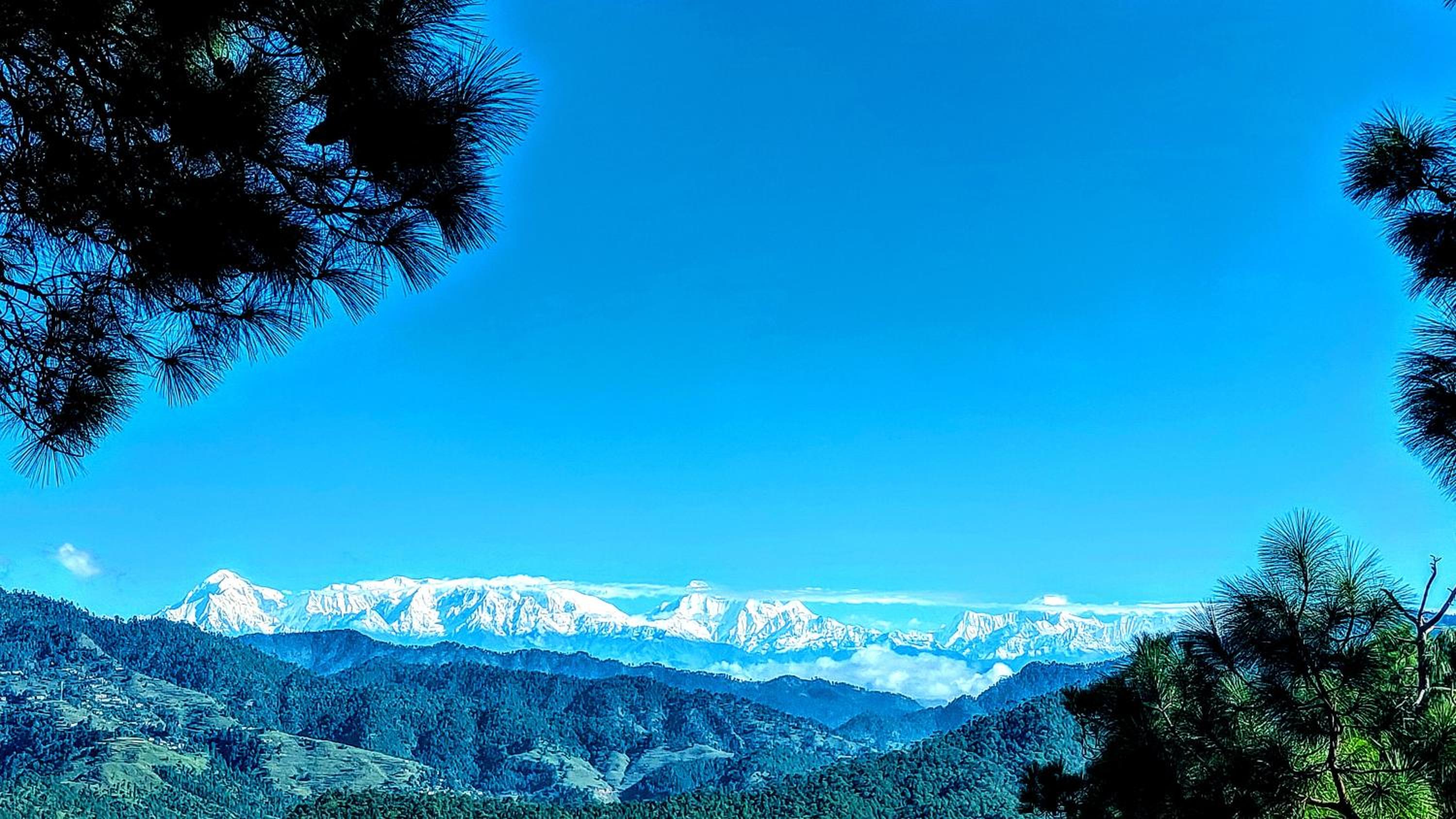 The Chakras Valley Homestay view 5