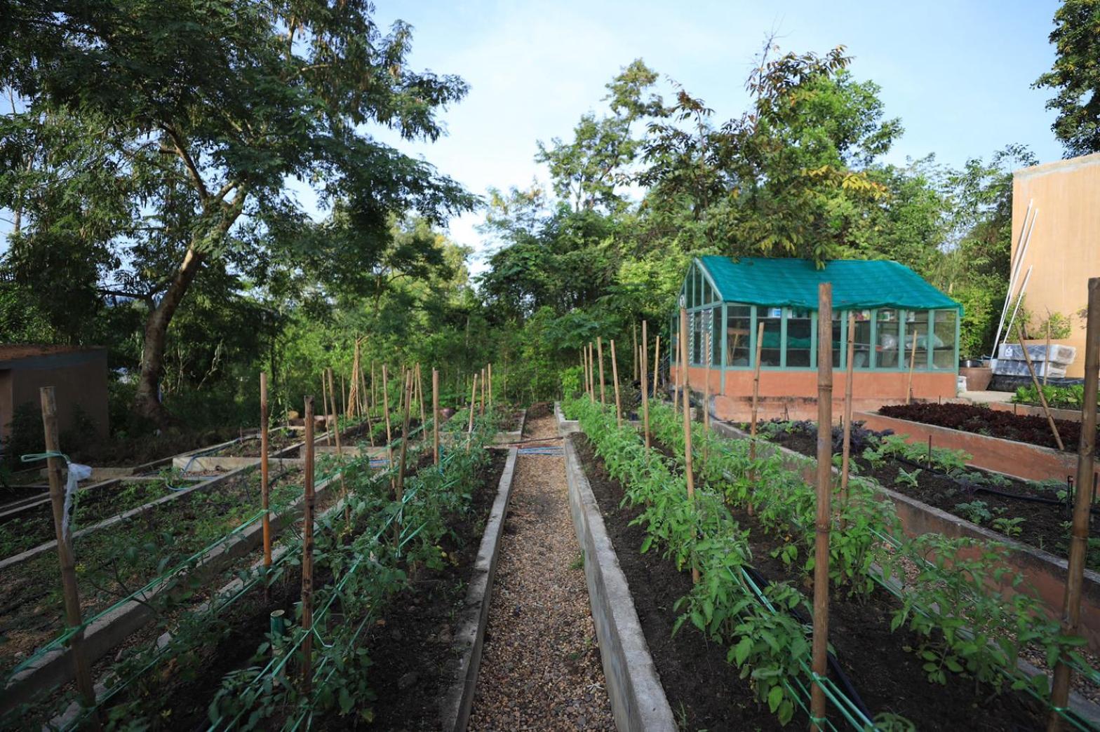 garden