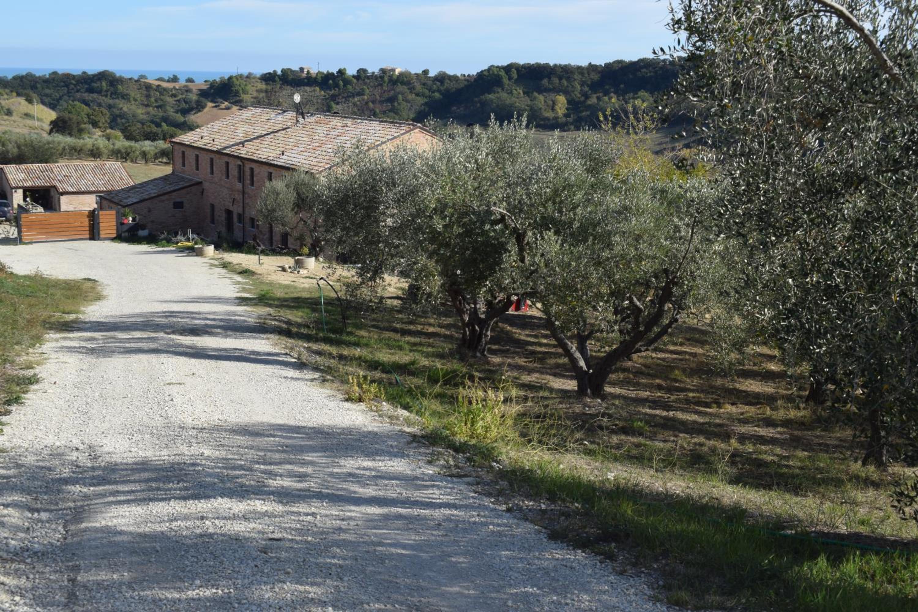 Monna Terra B&B view 2