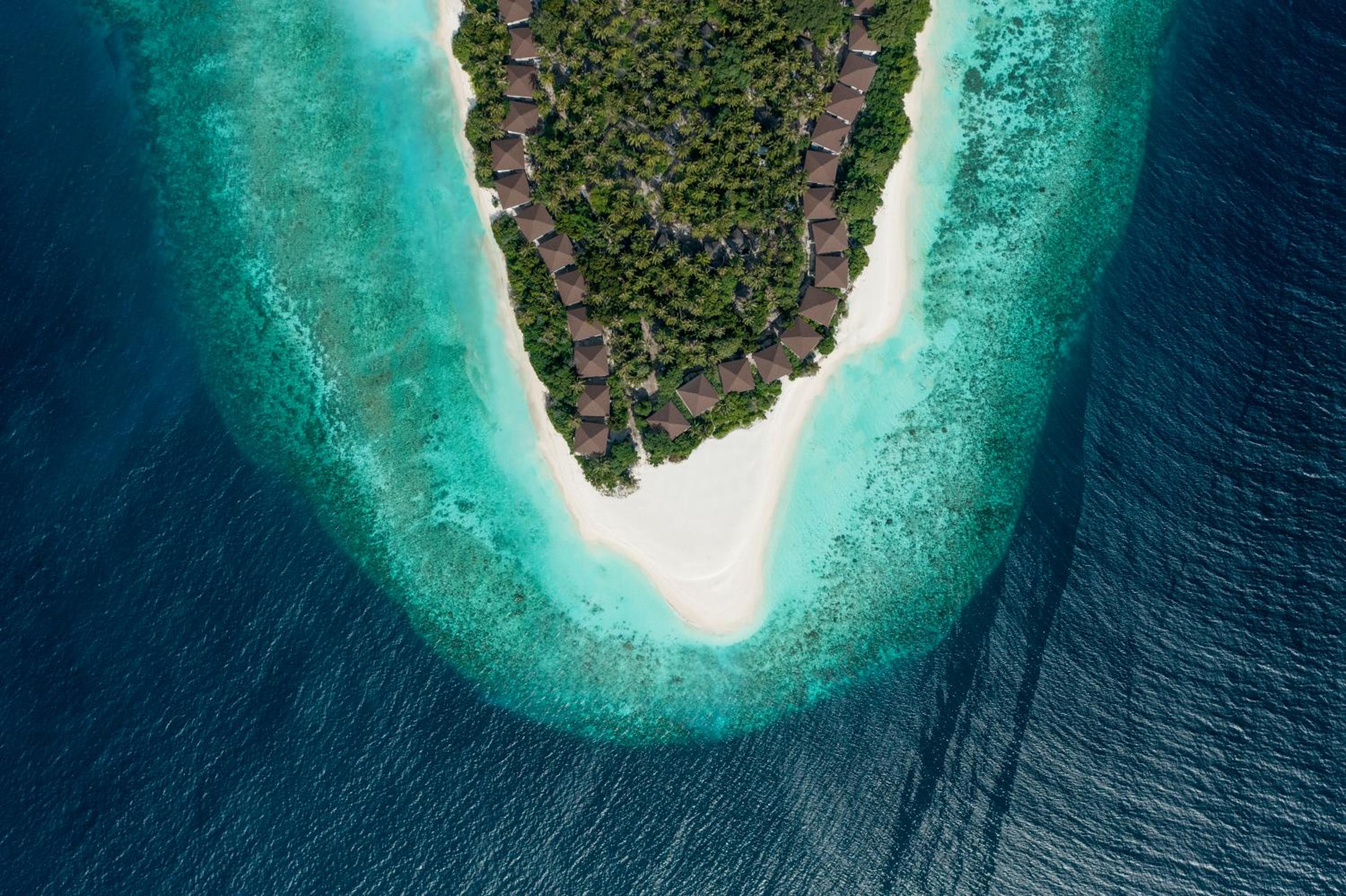 Avani Plus Fares Maldives Resort photo 2