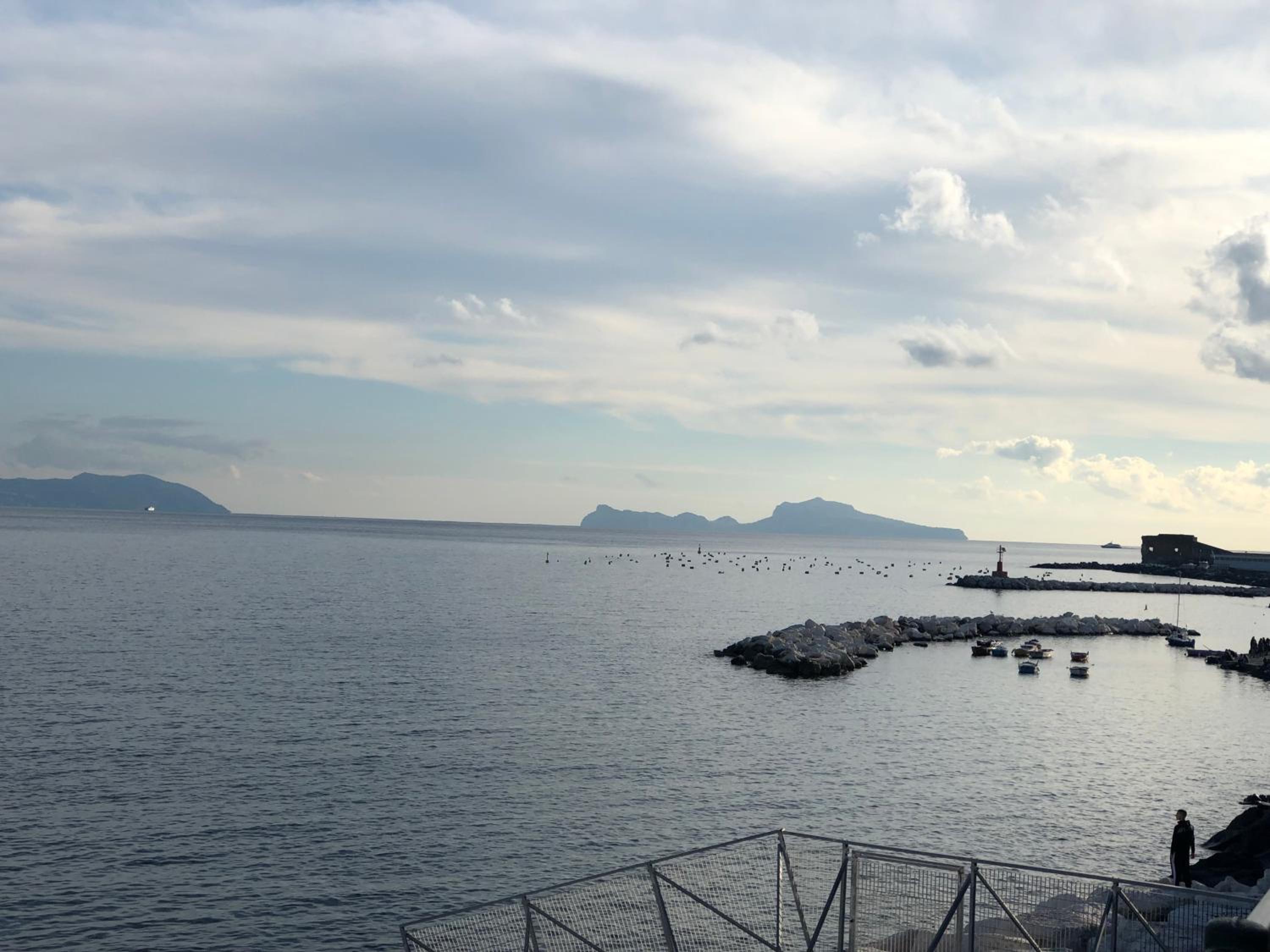 Marina SKY 8