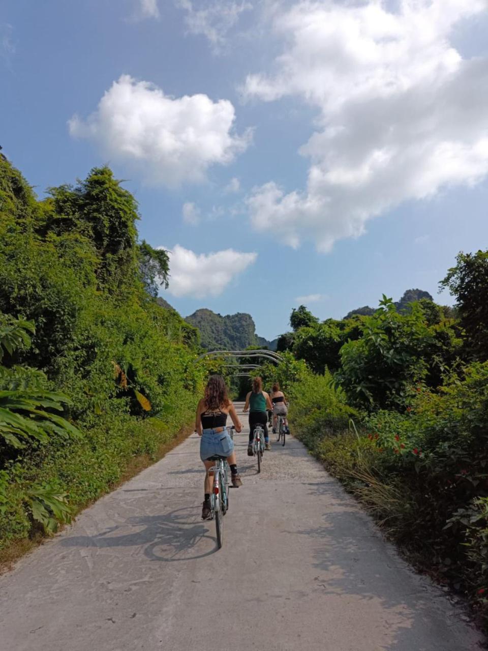 Cat Ba Sweet Potato Homestay