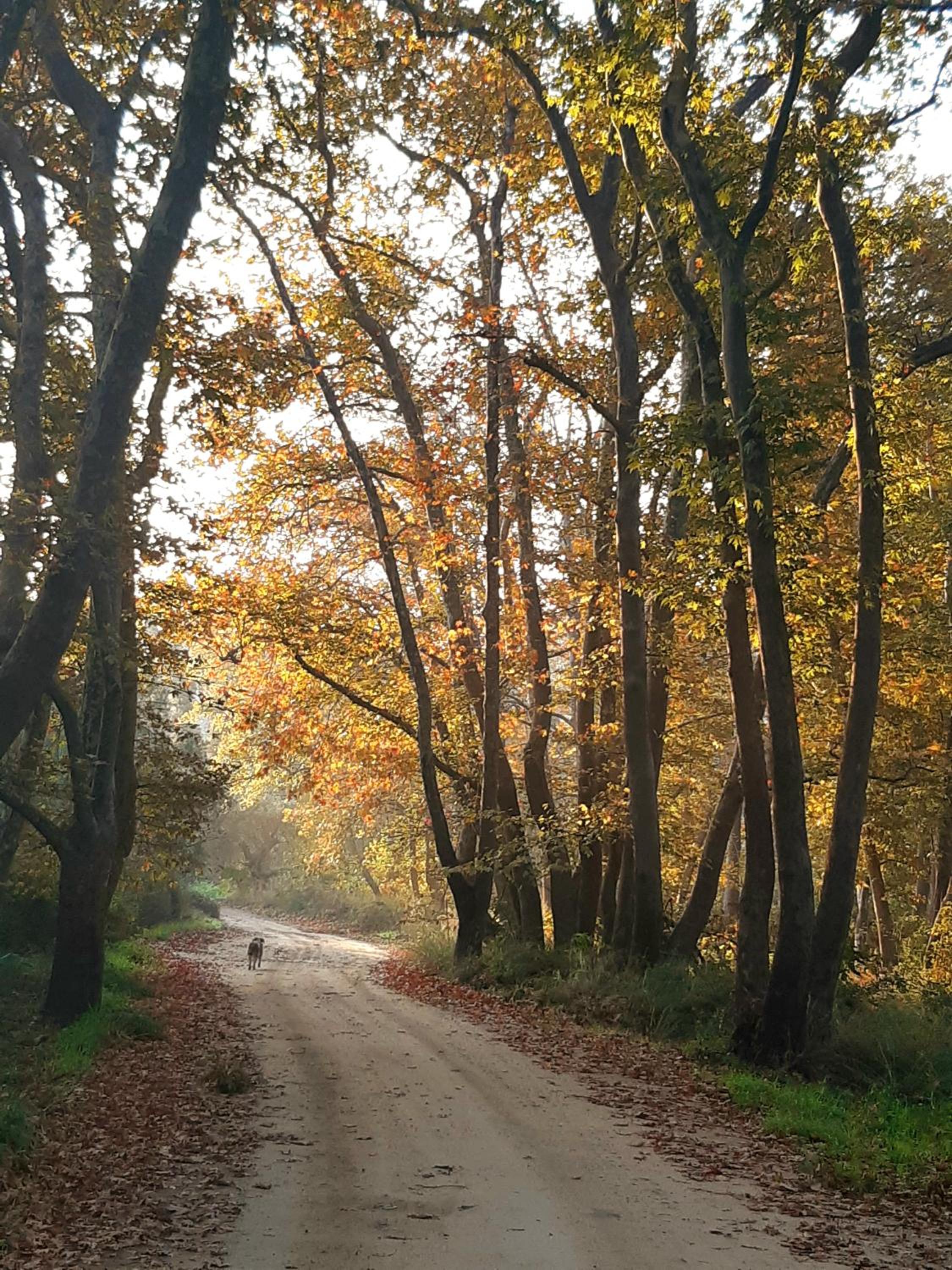 Studio Wilem photo 4