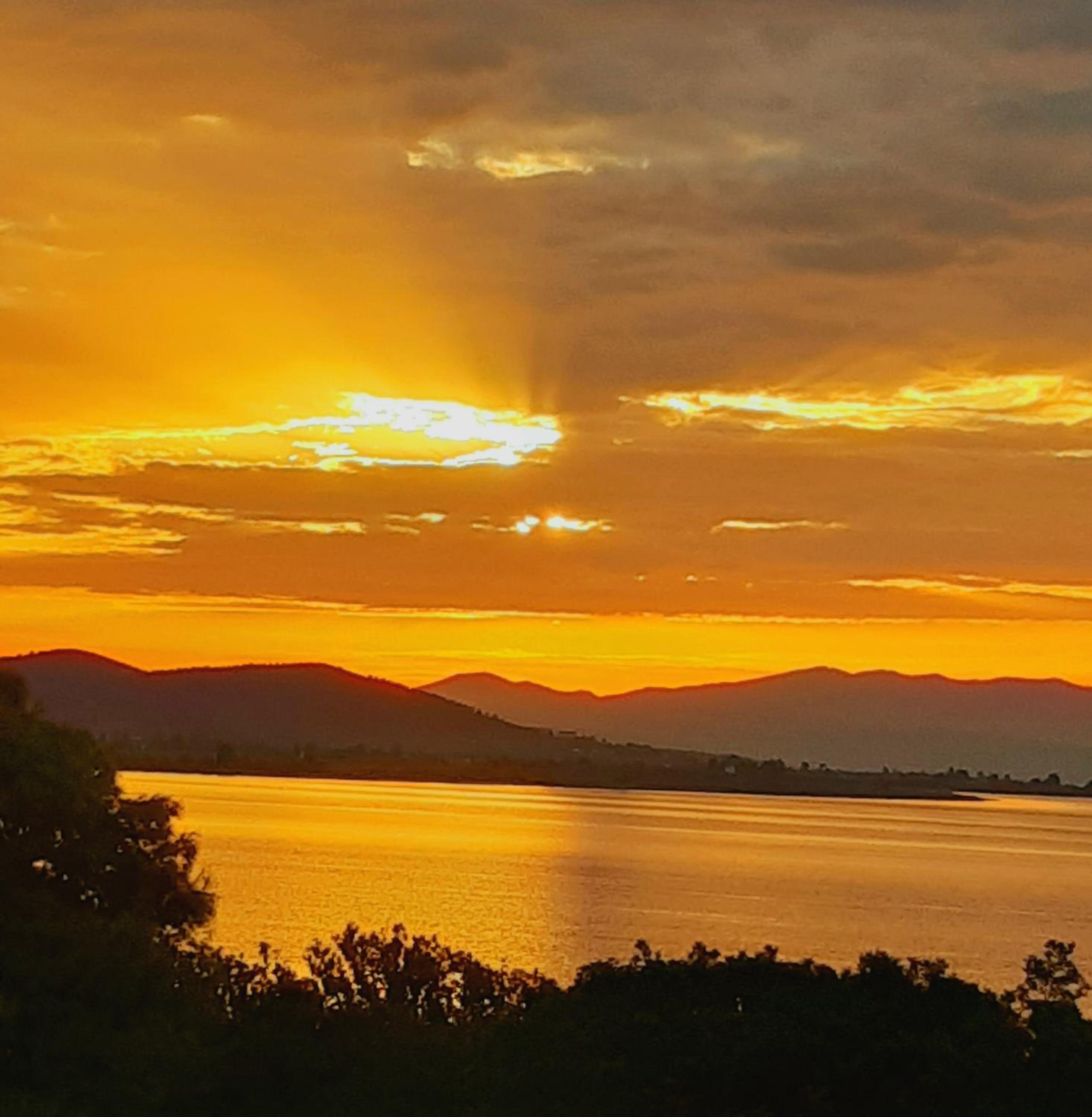 Studio Wilem photo 3