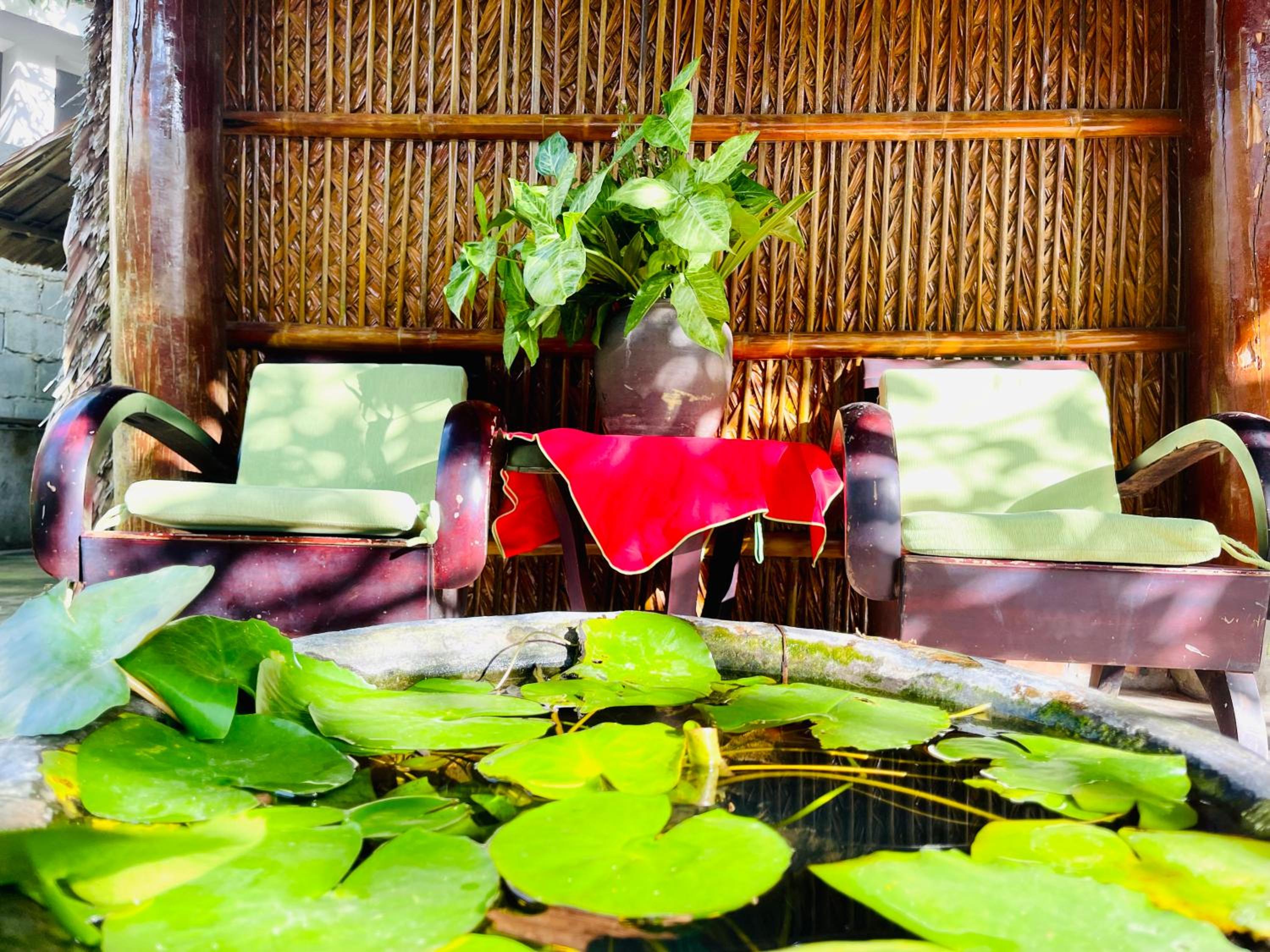 Under The Coconut Tree Hoi An