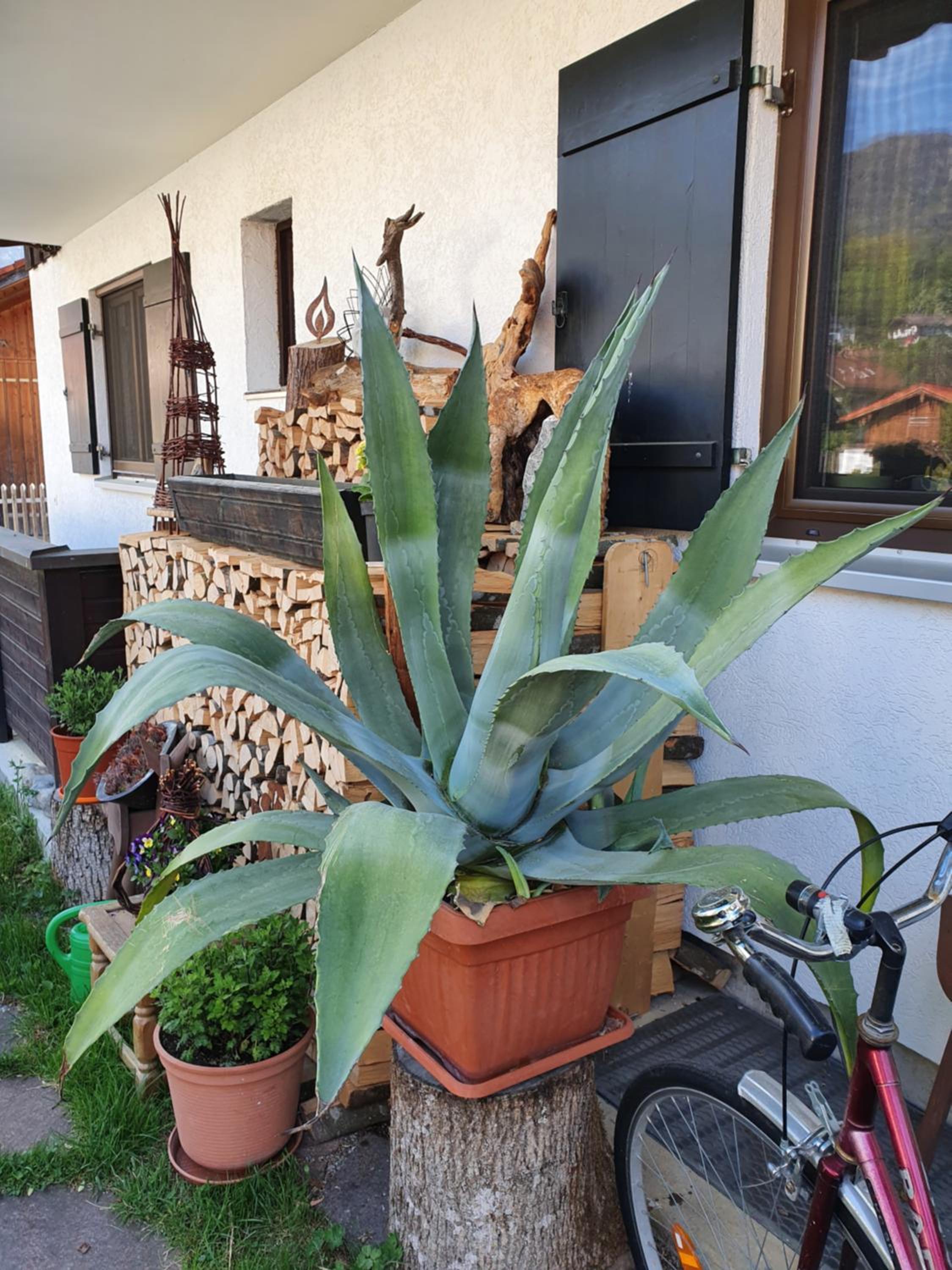 Ferienwohnung Heimbeck Kochel