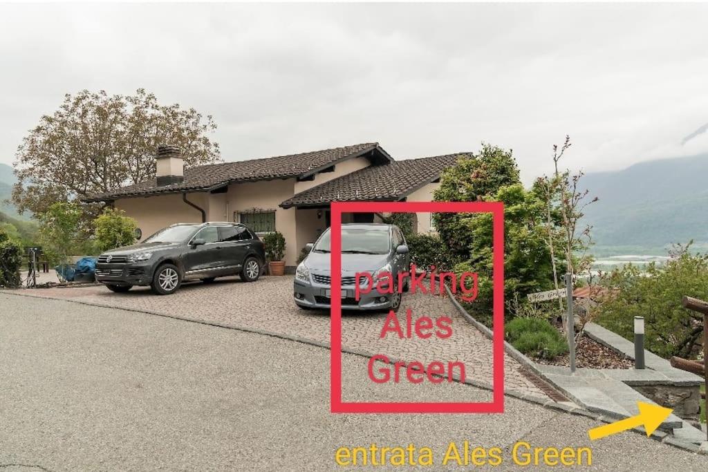 Ales Green