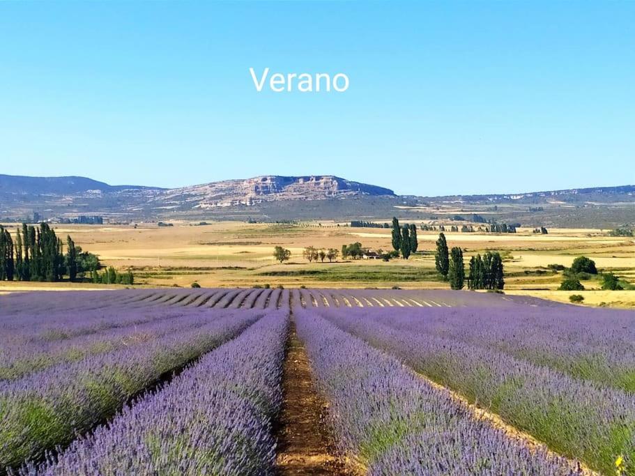 Casas de Aledo Precioso apartamento con hermosas vistas y jardin