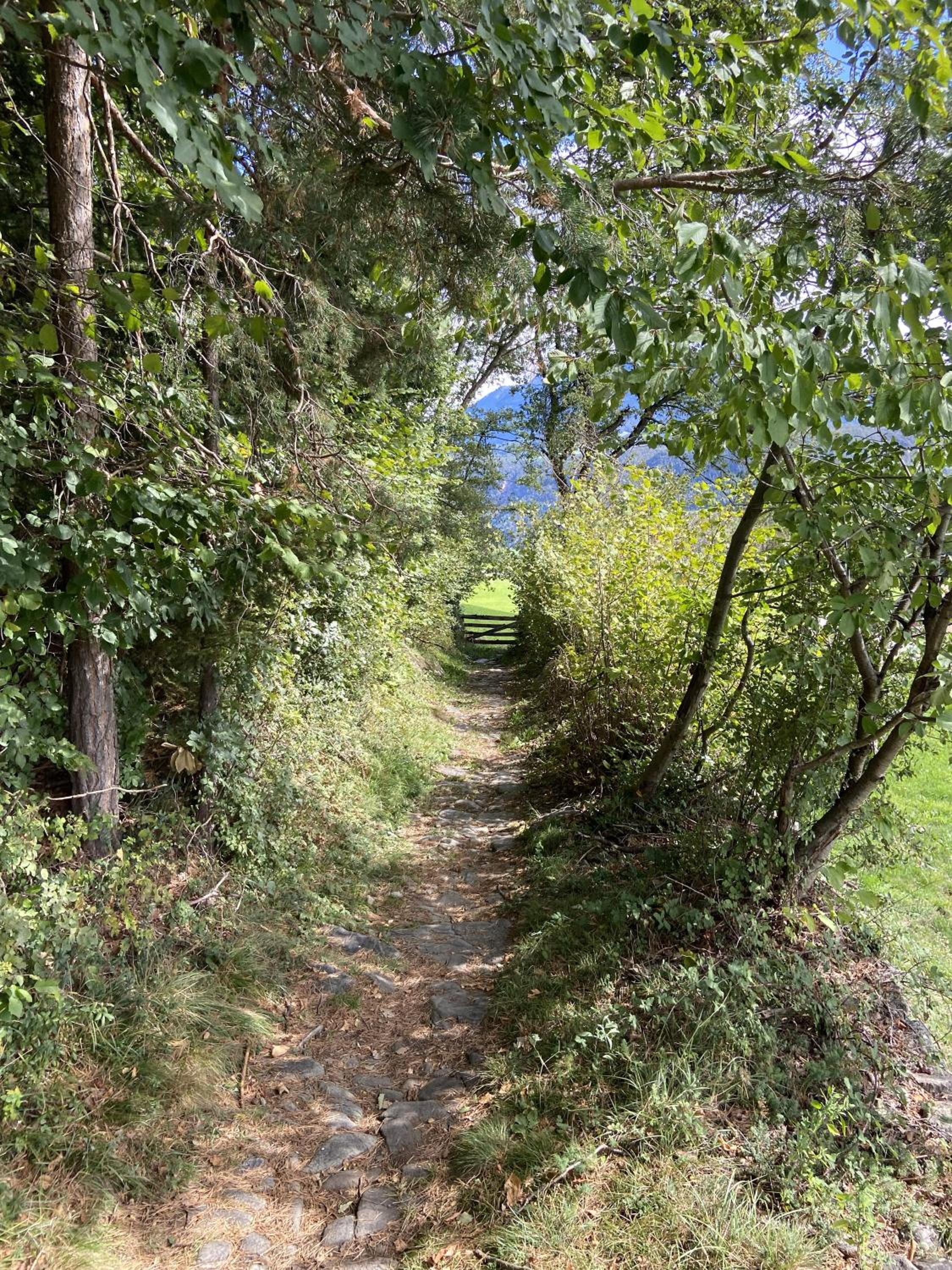 Photo 21