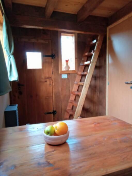 Calida Mini Casa