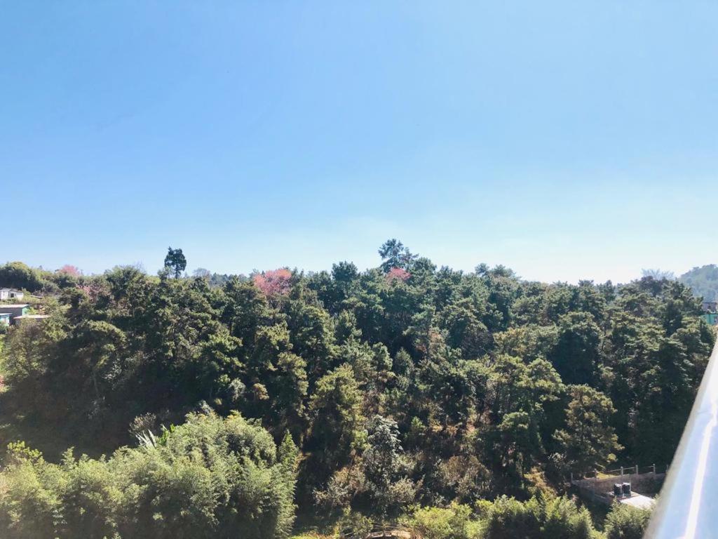 Pine Hill Comfort Stay view 3