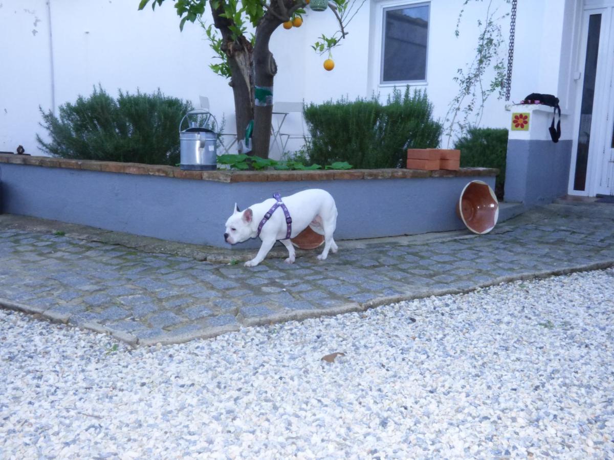 Solar da Cumeada