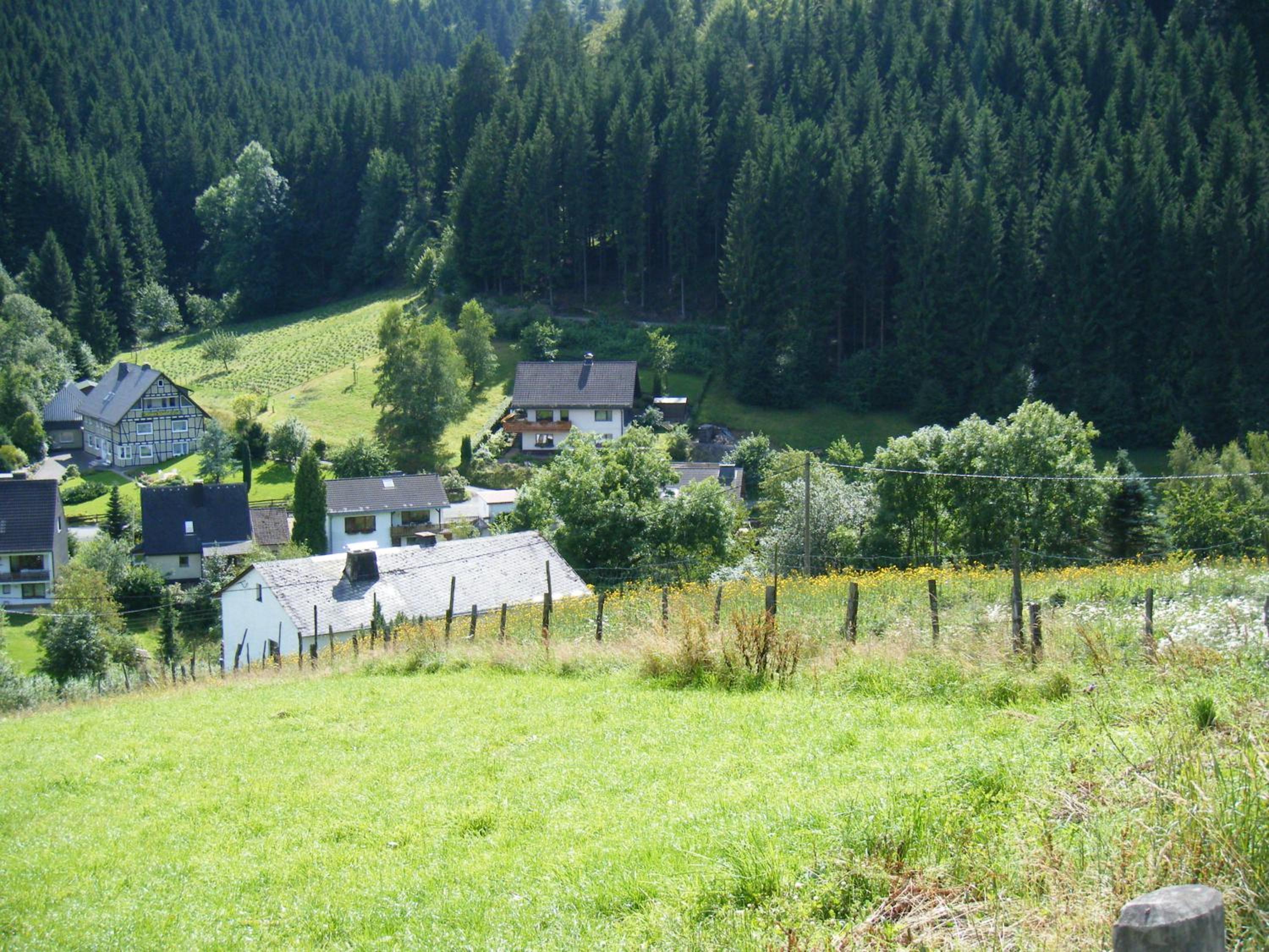 Photo 14