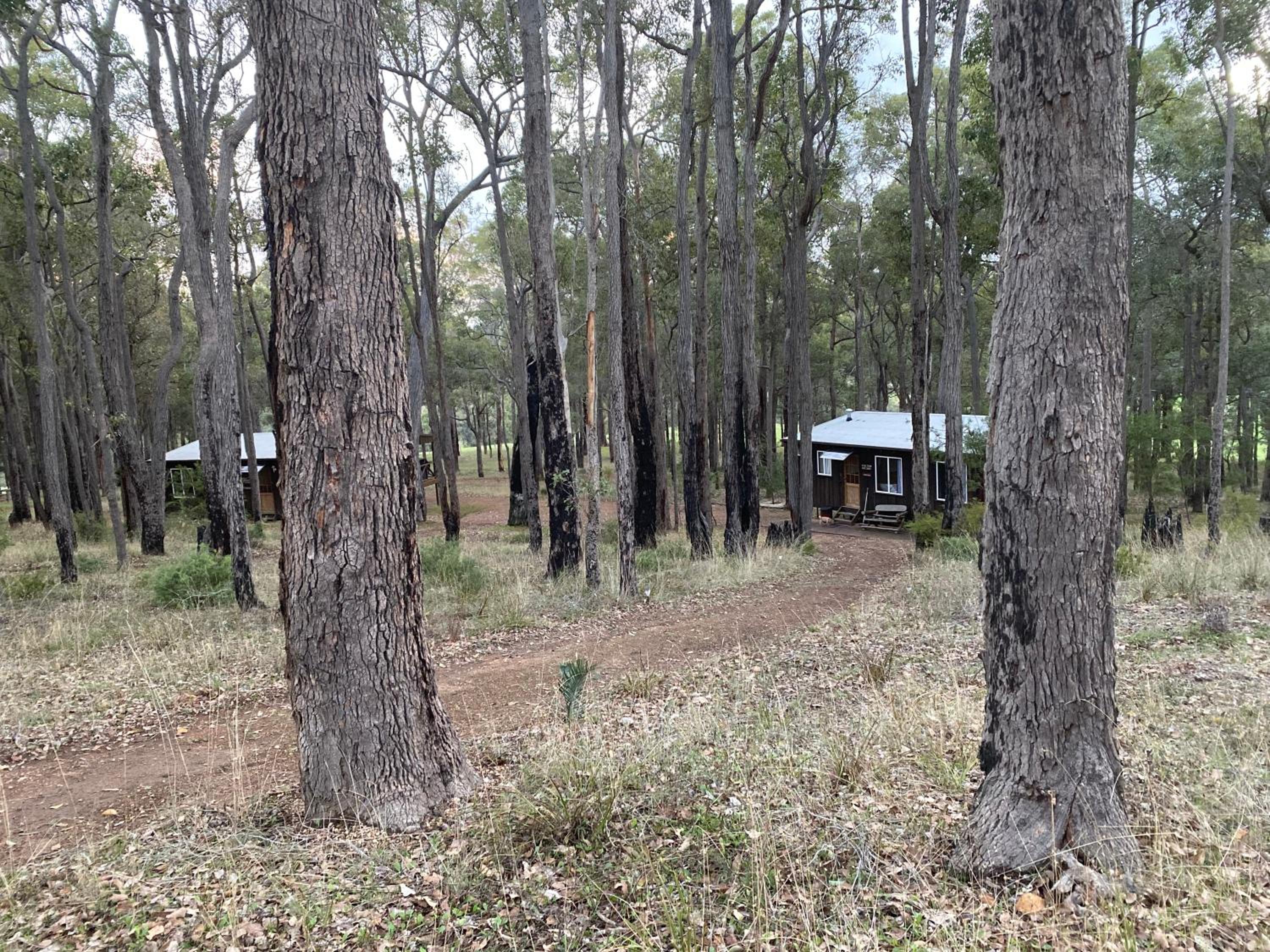Balingup TimberTop Cottages