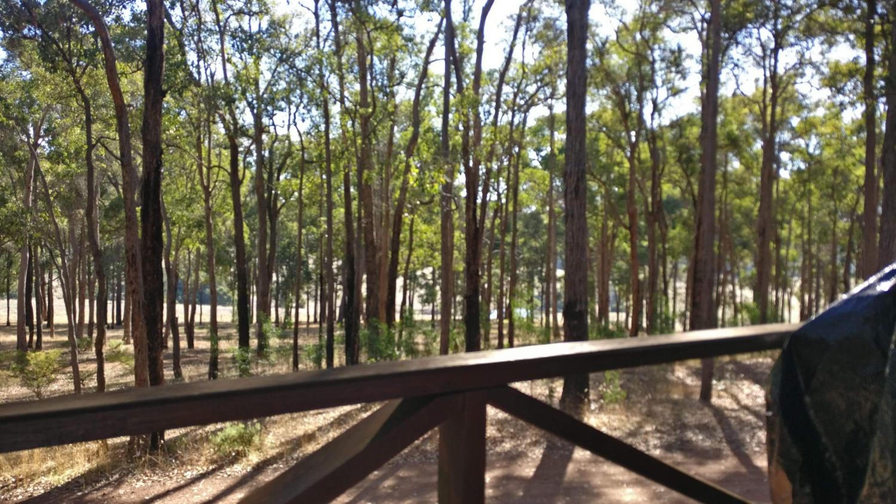 Balingup TimberTop Cottages