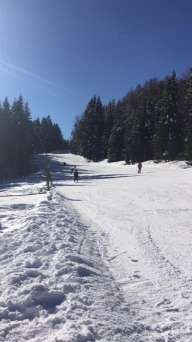 Appartamento 5 posti sulle piste a Folgarida view 5