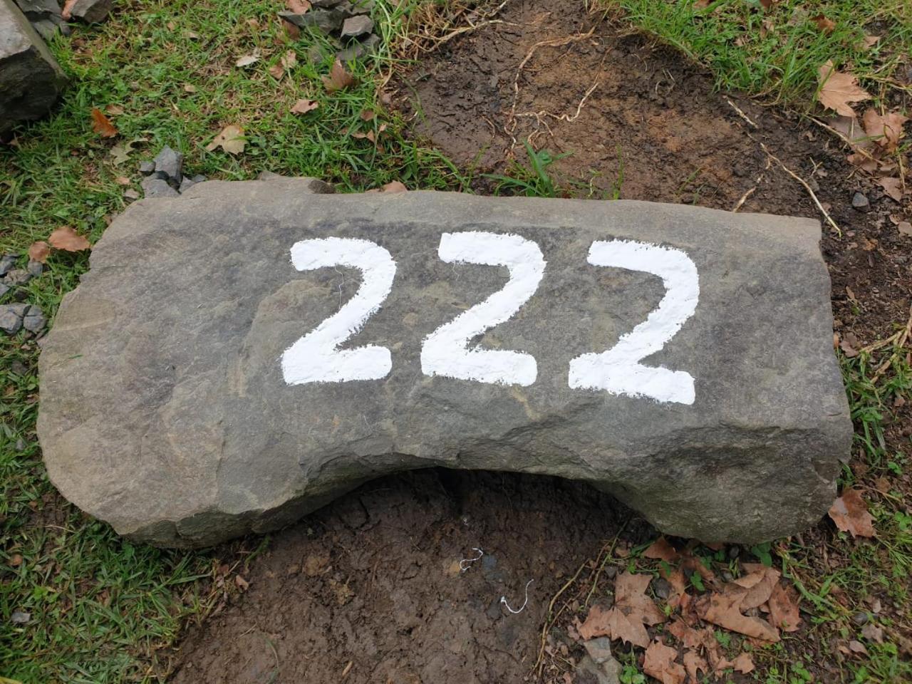Photo 47