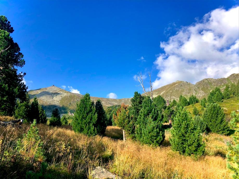 Ferienhaus mit Zirbitzblick